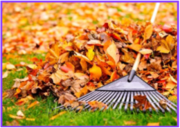 MARKHAM LIVING NOVEMBER 2025